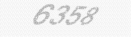 Visual security code — type the characters shown in the image