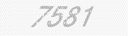 Visual security code — type the characters shown in the image